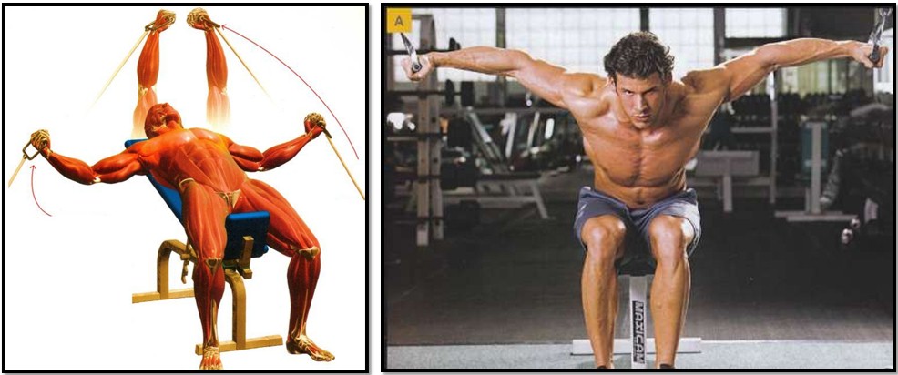 Упражнение кроссовер лежа на скамье Упражнение кроссовер лежа на скамье