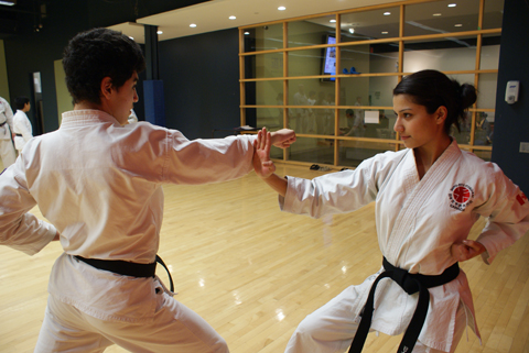 Словарь терминов кэмпо