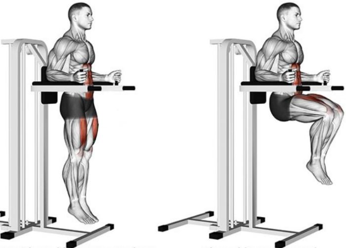 Подъем коленей на весу Подъем коленей на весу