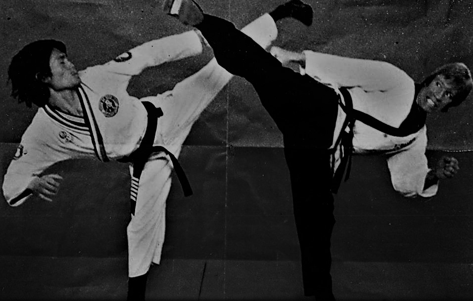 Обучающая литература написанная паркером