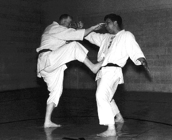 Из чего состоит кэмпо и главный критерий отличия