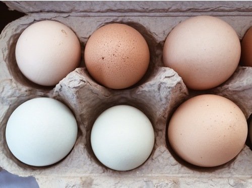 сушка тела в домашних условиях