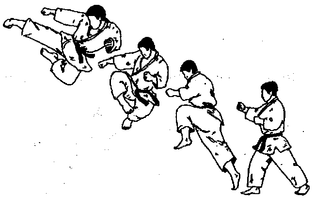 Маэ тоби гэри (проямой удар ногой в прыжке) Маэ тоби гэри (проямой удар ногой в прыжке)