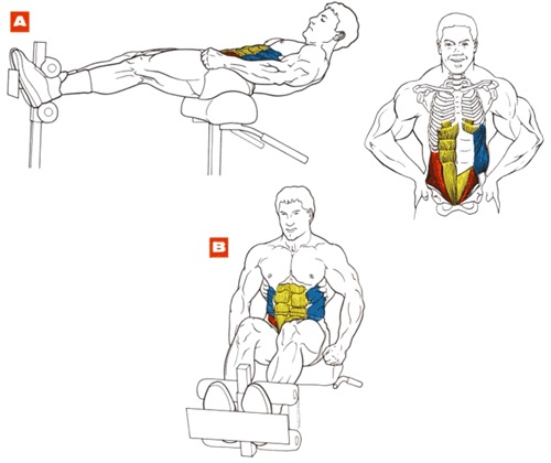 Подъем туловища на римском стуле Подъем туловища на римском стуле